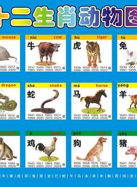 12生肖图片十二生肖动物大海报画小鼠牛虎兔龙蛇马羊猴鸡狗猪属相