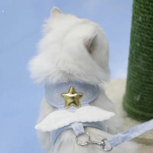 天使翅膀猫咪牵引绳背心式牵引带狗狗幼猫外出牵引防挣脱宠物用品