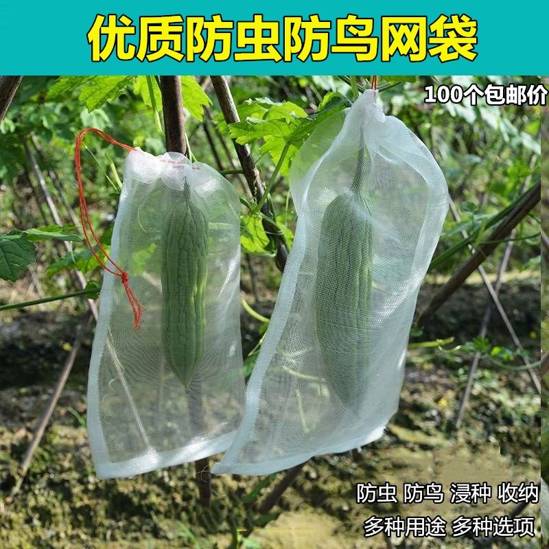 苦瓜丝瓜套袋防虫防果蝇网袋黄瓜防虫纱网罩青瓜S蔬菜防鸟袋丝网
