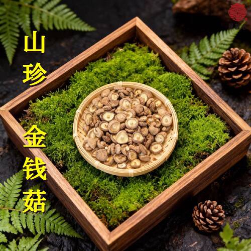 干香菇小个小个小香菇干金钱菇珍珠菇小花菇迷你干货炖汤炒菜煲汤
