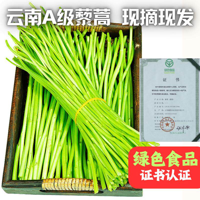 云南藜蒿芦蒿泥蒿篱蒿新鲜净菜去叶蔬菜当天现摘现发