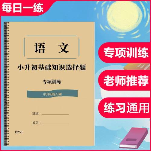 小升初语文基础知识选择题专项训练习作业本A4纸打印500题含答案