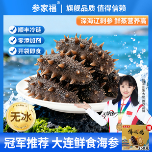 参家福 辽宁大连鲜食海参送礼自用滋补装 赠佛跳墙