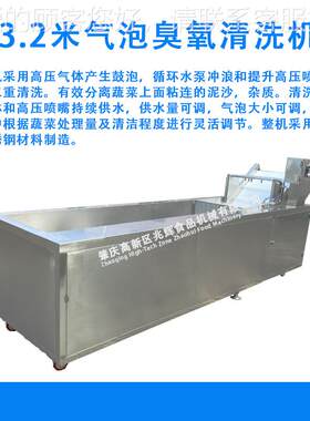 预制净菜加气泡柑自动清洗机不锈钢果菜蔬清NMZ工洗机桔西红柿洗