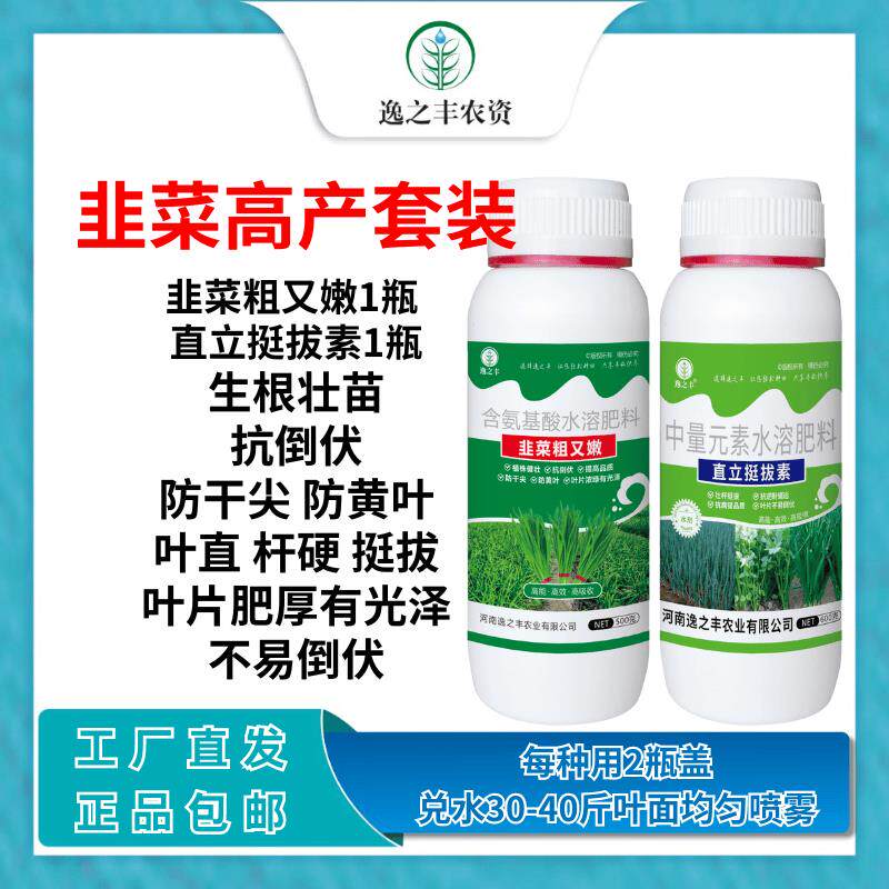 韭菜专用肥韭菜粗又嫩直立挺拔素叶片黑绿硬朗抗倒伏防干尖黄叶等