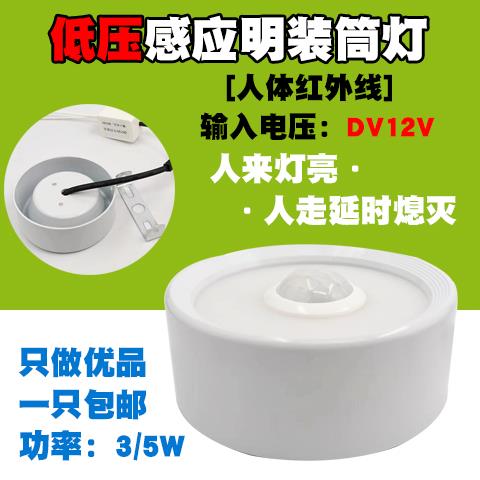 低压直流DC12V人体红外线感应吸顶灯led点光源太阳能电瓶运动器材