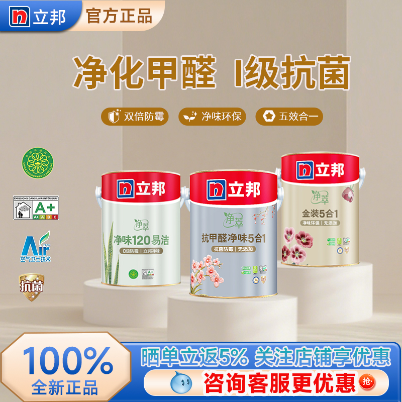 立邦抗甲醛五合一乳胶漆