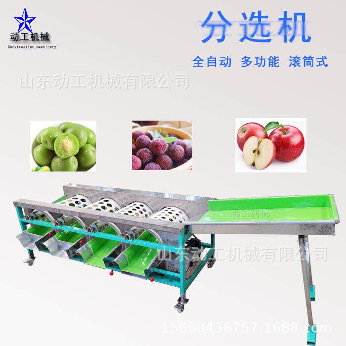 商用金桔TCR分分选葱机 道式苹轨果洋选机 姑娘果牛油果分级机