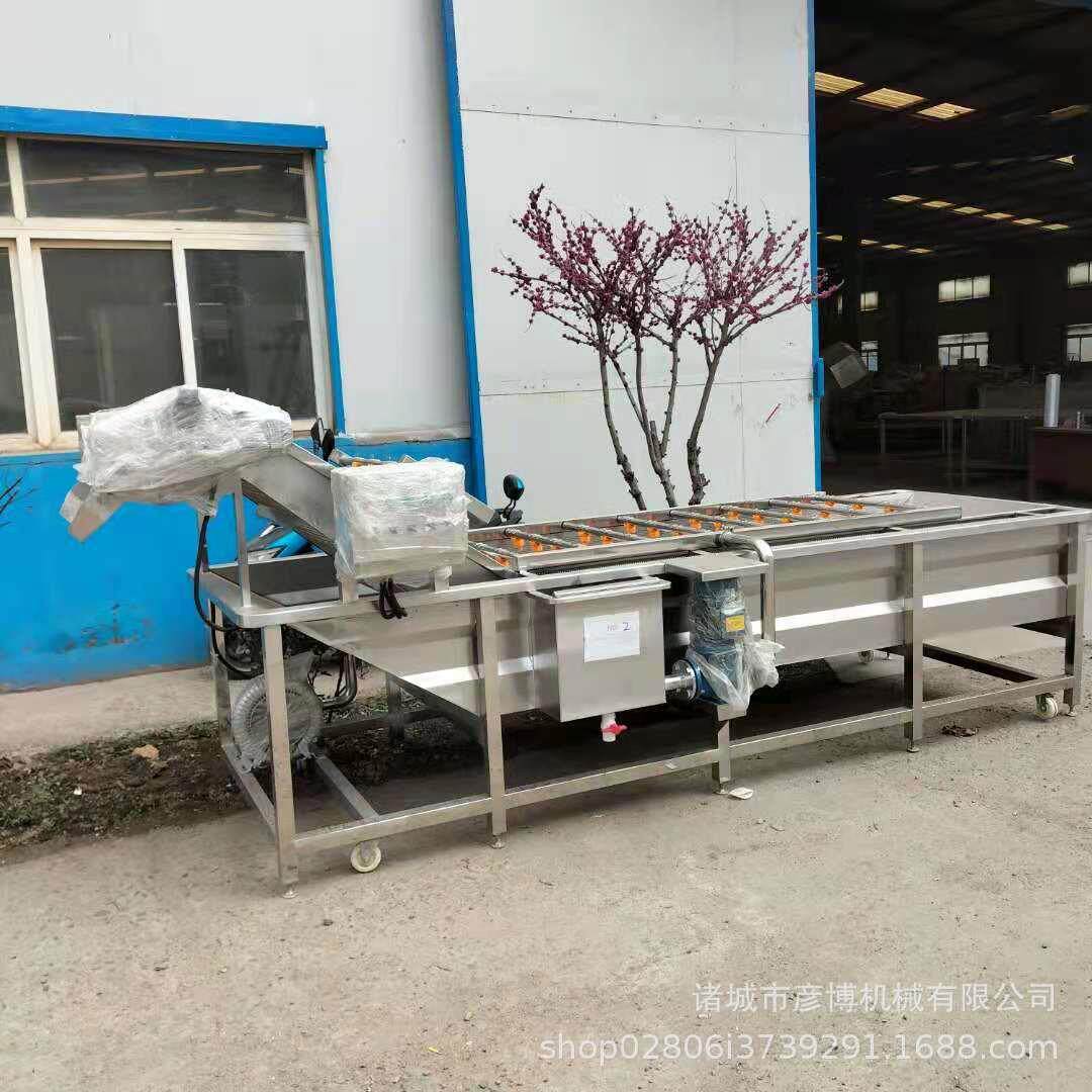 香菜苗2021093洗菜机 香菇脚高菌类压气泡洗机 蒜无花果大石榴清