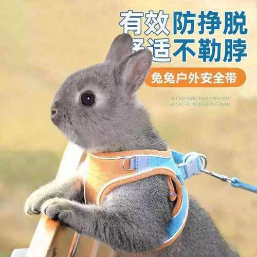 兔子专用防挣脱背心式可伸缩遛兔