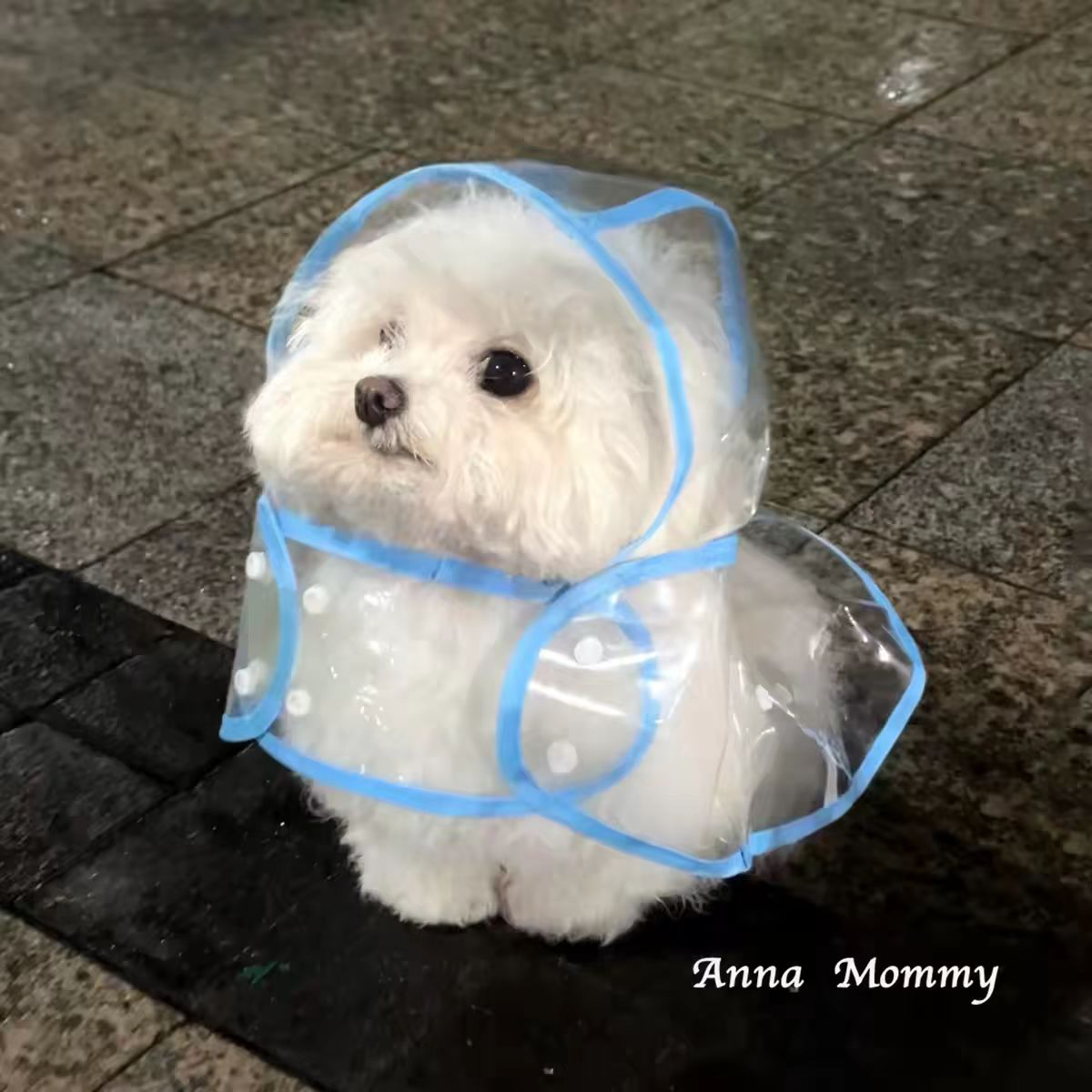 比熊泰迪柯基专用防水连帽宠物犬
