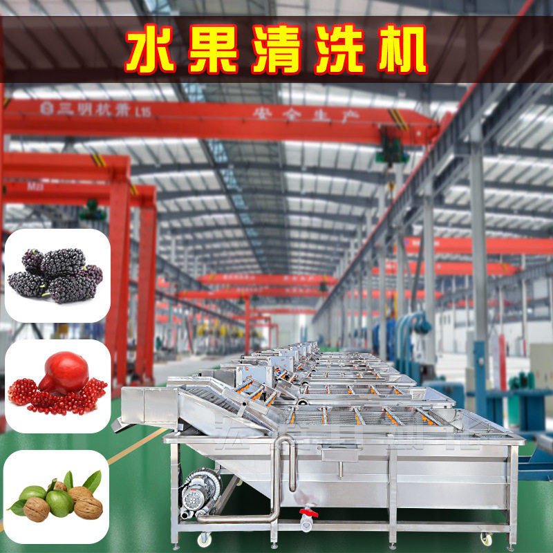桑葚清洗烘干流水线 石榴籽果粒全自动清洗机 核桃气泡清洗机鲜果