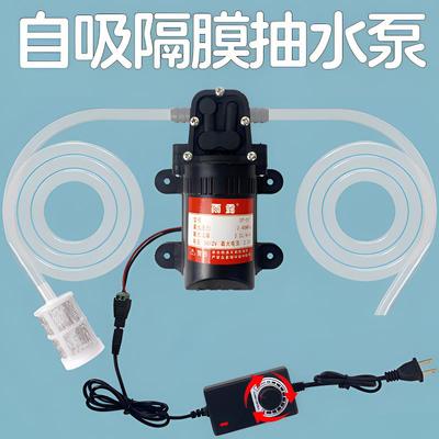 12V抽水泵迷你大吸力自吸泵微型净水器纯饮水机大功率直流增压泵