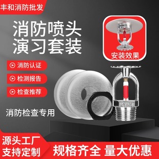 消防检查演习喷淋套装68度下喷吊顶喷头教学洒水喷淋头烟雾报警器
