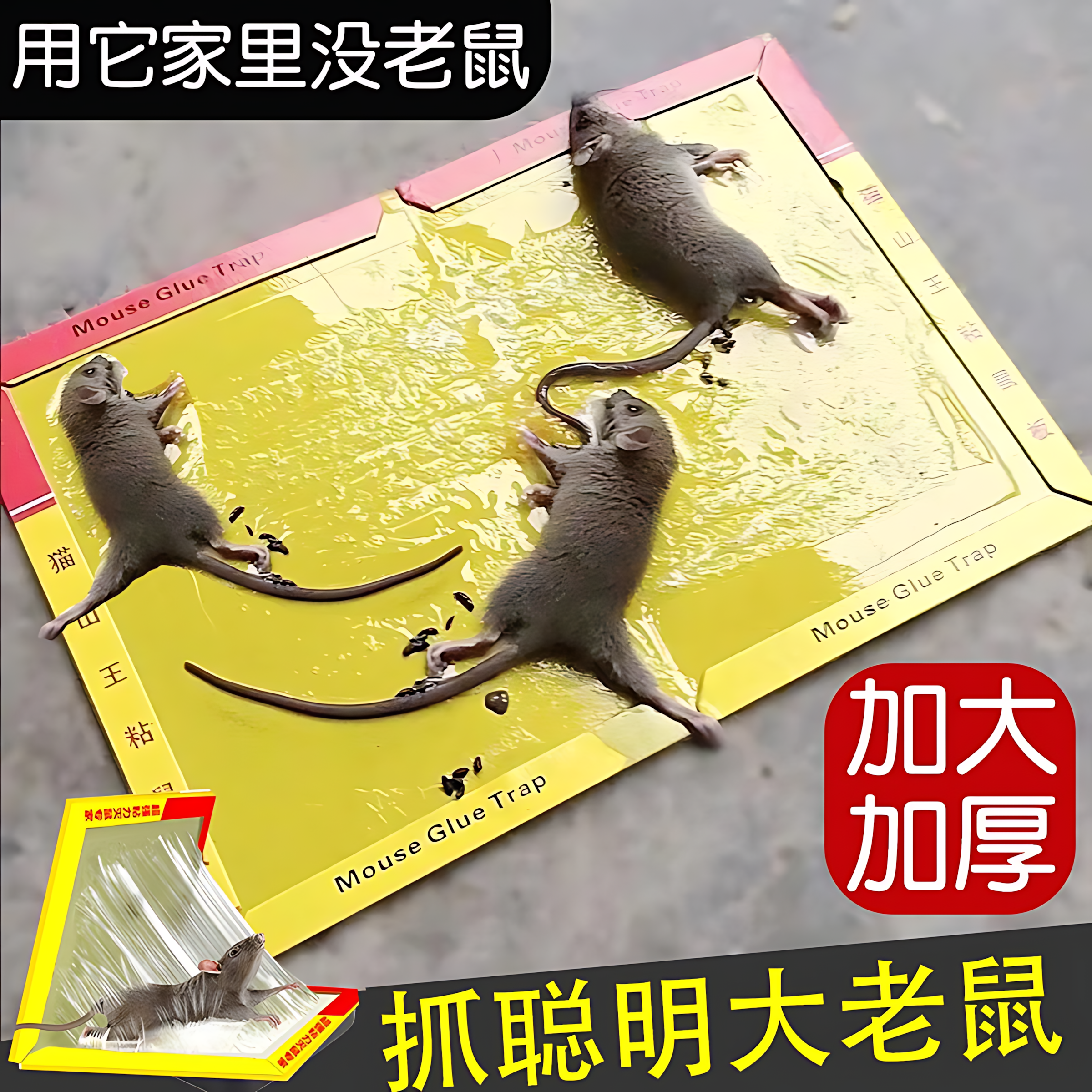 强力粘鼠板老鼠贴家用加大加厚老鼠粘强力粘鼠板糖炒板栗多重引诱