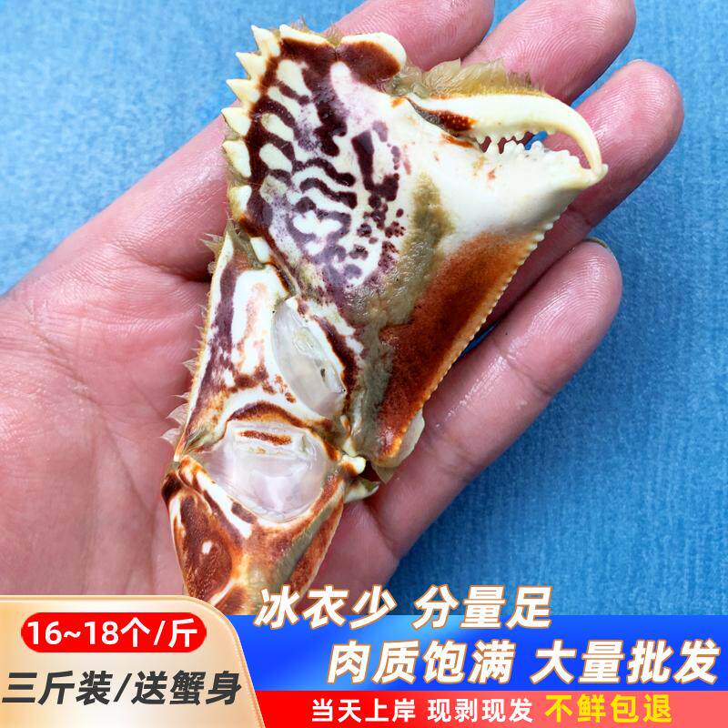 【中号面包蟹钳三斤】元宝蟹脚新鲜蟹脚东山岛海鲜蟹腿冰衣20%
