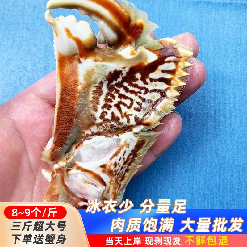 超大号蟹钳五斤元宝蟹钳蟹脚东山海鲜水产面包蟹腿冰衣20%没空脚