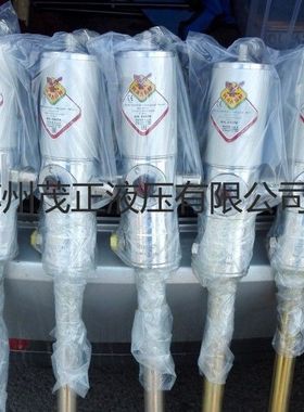 意大利RAASM气动黄油泵-63048气动加油泵