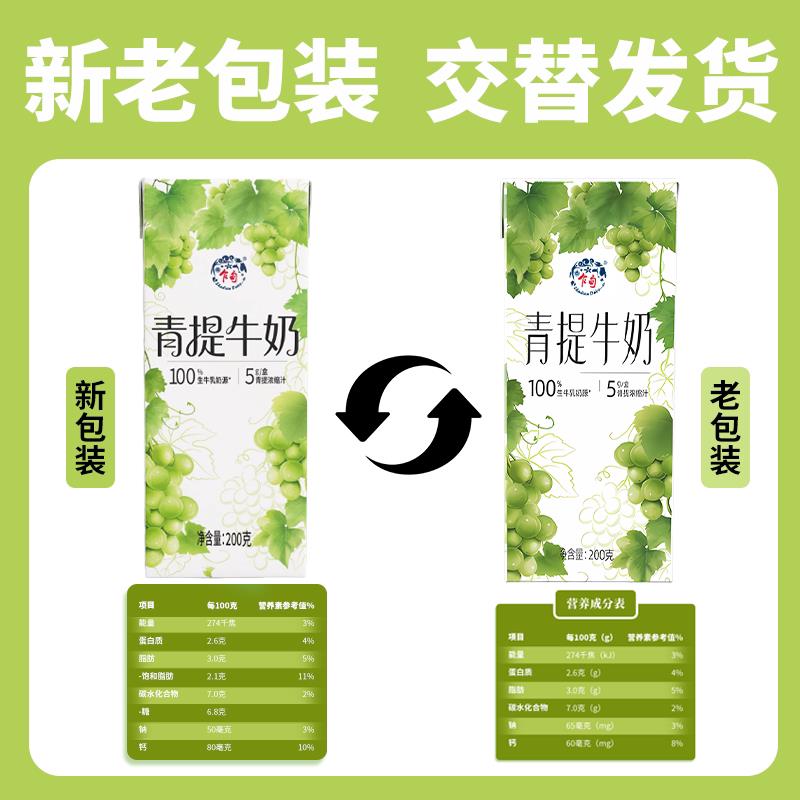 速发现货乍甸青提茉莉花香味甜牛奶200g*8盒礼盒装含乳饮料儿童早