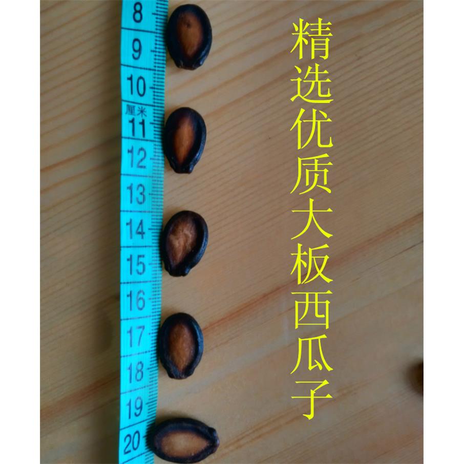 速发现货沙土牌大片干西瓜子黑瓜子话梅 西瓜子五香甘草2斤送包邮