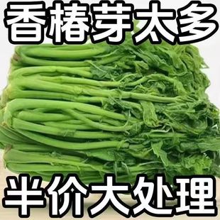 香椿芽咸菜新鲜2025年手工腌制头茬嫩春芽山东特产传统风味下饭菜