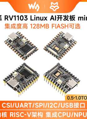 微雪 幸狐RV1103 Pico Mini Linux AI开发板 RISC-V架构128MB容量
