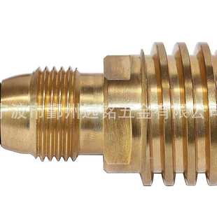 北美丙烷加注适配器Lp气体1lb小气瓶铜黄铜POL转QCC
