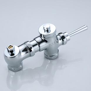 冲洗阀卫生间家用蹲便器冲水阀铜冲洗阀厕所冲水器 自闭式