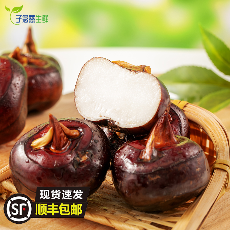 广西荔浦马蹄荸荠农家种植新鲜现挖水果脆甜多汁化渣顺丰包邮