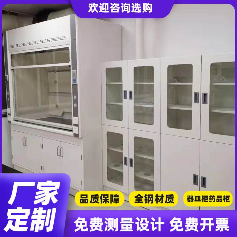 实验室全钢药品柜全木试剂柜铝木玻璃器皿柜通风型PP酸碱柜储物柜