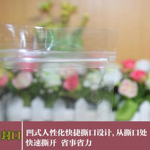 干果涼果粉粉干貨食品塑密封袋100個(gè) 4透明自立夾鏈自封袋