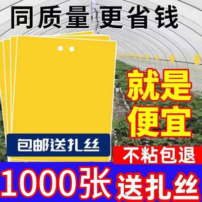 双面粘虫黄板诱虫板果蝇飞虫瓜果实蝇针蜂蓝板蓟马大棚果园篮板