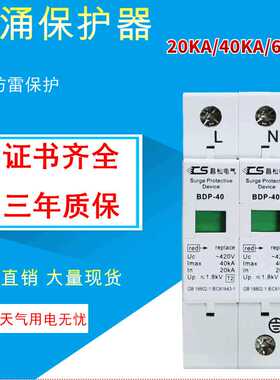 浪涌保护器2p20KA电涌避雷器电源防雷器2p20ka电涌spd保护防爆