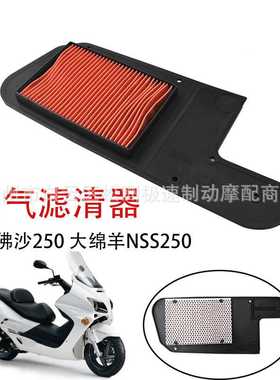 适用于佛沙FORZA250 大绵羊NSS250 01-03年空滤芯 空气格滤清器
