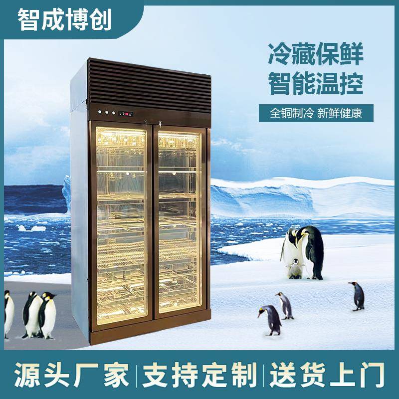 定制牛肉熟成柜商用西餐湿式恒温冷藏保鲜展示柜风冷牛肉冷冻柜