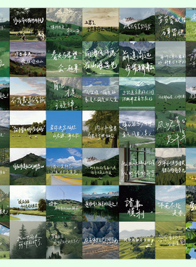 60张绿色自然治愈系卡通贴纸手账风景文艺装饰手机壳素材贴画