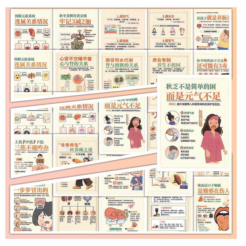 144张中医养生图解贴纸五脏六腑功能健康知识科普冬季养生贴画防
