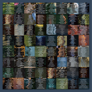 60张人间清醒语录励志手账贴纸装饰笔记本滑板车手机壳贴画