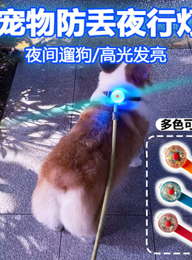 宠物防丢夜行灯狗狗防走失灯发光项圈夜间遛狗灯夜光可充电防水灯