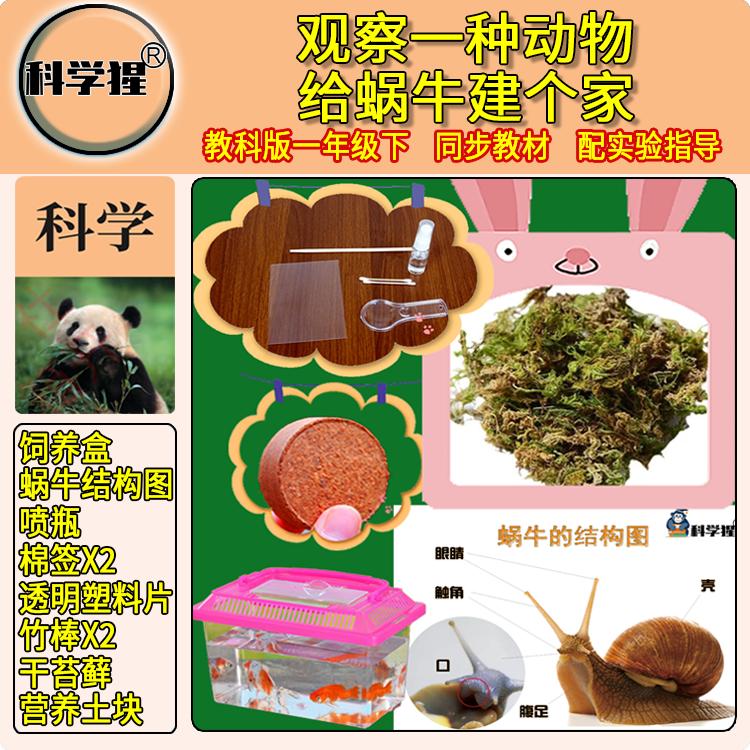 给蜗牛建个家实验 饲养盒营养土教学仪器/实验器材