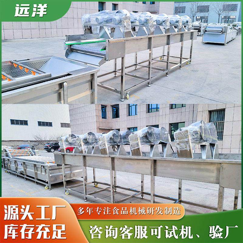 全自动清洗风干流水线 高压喷淋+风刀去水 适用于果蔬预制菜加工,清洗/食品/商业设备,果蔬加工设备,淘宝优惠券,粉丝福利购,淘宝优惠卷