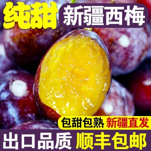 正宗新疆法兰西西梅应季新鲜