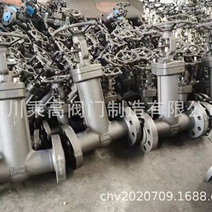 波纹管闸阀氯气专用阀门高威工况阀门WJ41H 锻钢波纹管截止阀