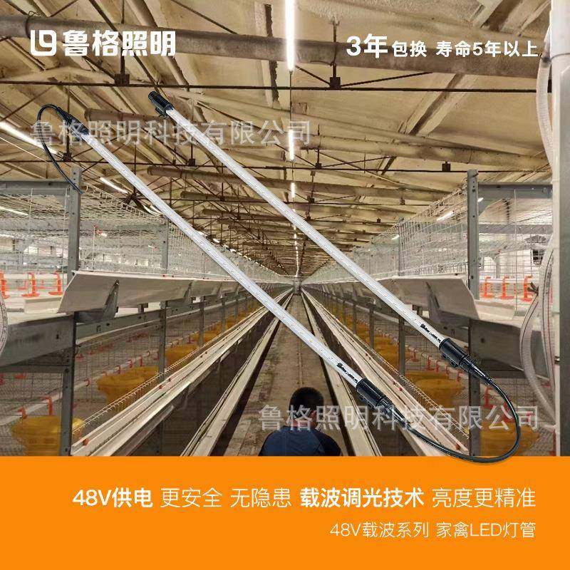 鸡舍防水led灯管低压直流48V可调光养殖场家禽照明专用灯带,家装灯饰光源,LED灯管,淘宝优惠券,粉丝福利购,淘宝优惠卷