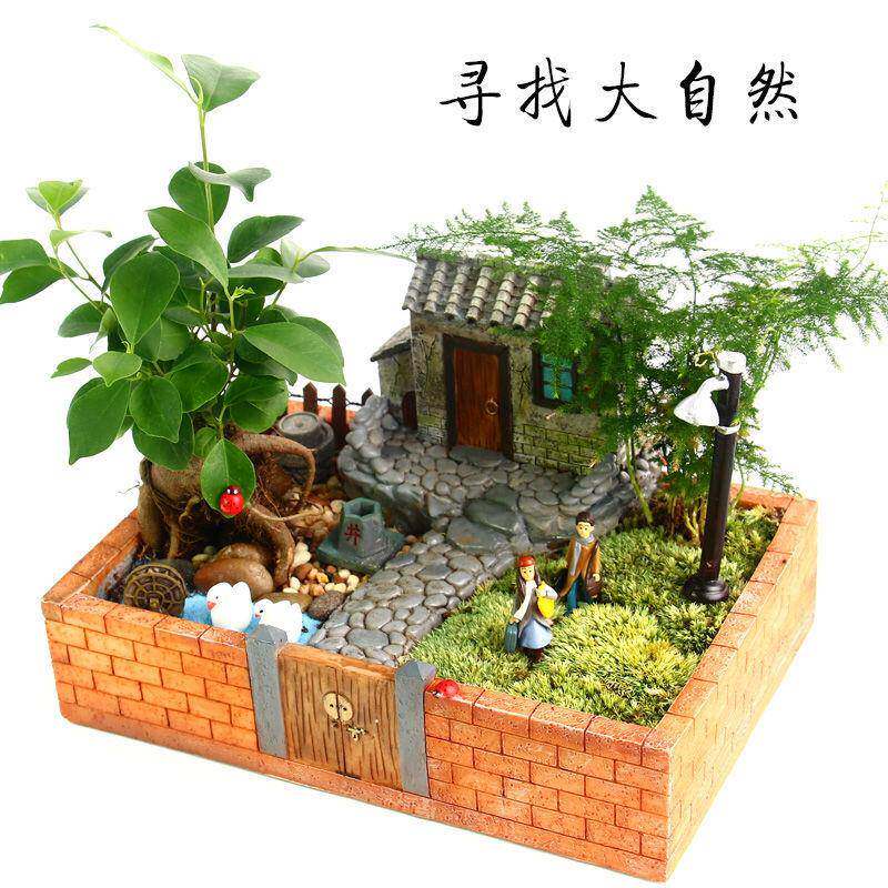 创意农家庭院房子龙猫多肉苔藓微景观植物办公室家居绿植大号花盆