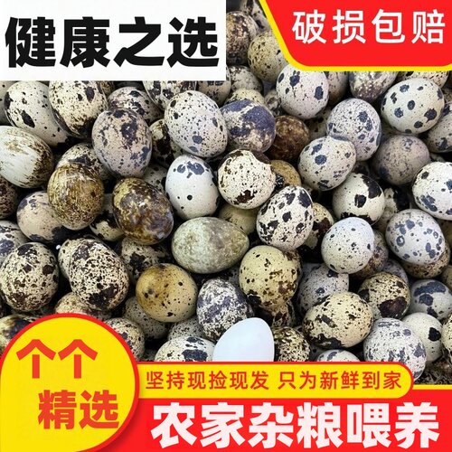 80枚新鲜鹌鹑蛋农家散养整箱批发孕妇宝宝营养辅食鸟蛋【新鲜现发