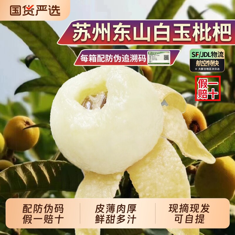 假一赔十正宗苏州东山白玉枇杷大果新鲜水果孕妇白枇杷果礼盒超甜