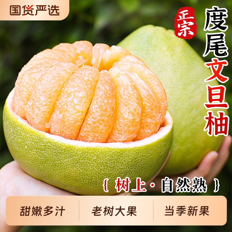 正宗福建仙游度尾文旦柚当季新鲜水果青皮白心蜜柚子大果整箱包邮