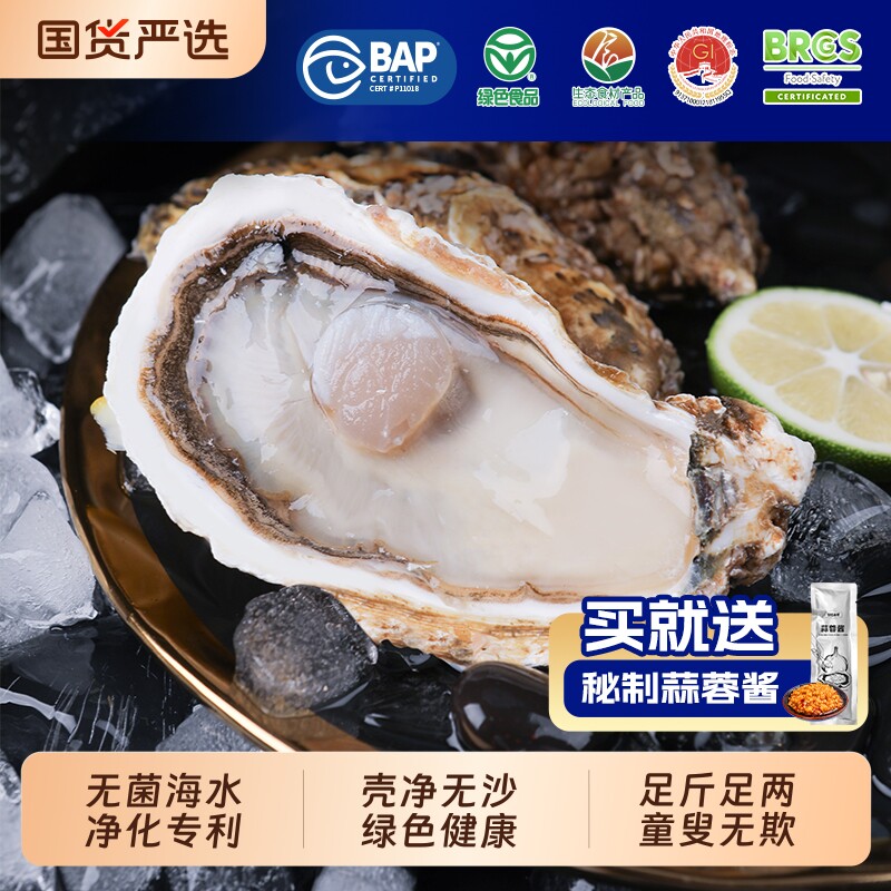 贝司令乳山鲜活生蚝净重5斤大蚝王海蛎子牡蛎新鲜高品质海鲜水产