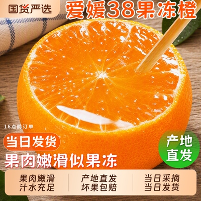 正宗爱媛38号果冻橙新鲜橙子